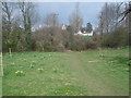 Daffodil Way at Dymock