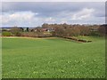 Farmland, Lane End