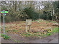 Footpaths on Naphill Common