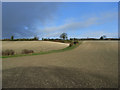 Farmland, Shalbourne