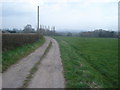 Daffodil Way heading for Shakesfield