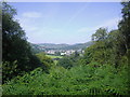 A view of Langholm from the Round House