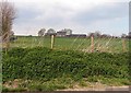 TR0060 : Field viewed from church by John Salmon