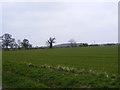 TM3666 : Looking over farmland towards Whin Covert by Geographer