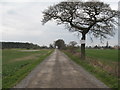 Track to Wilstrop Lodge Farm