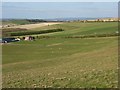 Downland, Blewbury