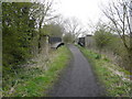 Teversal Trail - View of former Railway Bridge