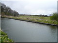 Chesterfield Canal - View towards Rhodesia