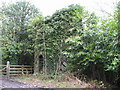 Gatehouse for Bronwydd Mansion