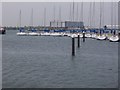 Sailing School Fleet - Port Solent