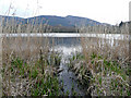 White Moss Loch