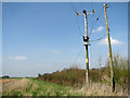 Electricity poles