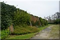 West wall of Shenley Park Walled Garden