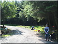 A forest track in Halvana Forest near Altarnun on Bodmin Moor