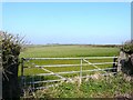 Part of Metcombe Down seen from the road between Horedown Gate and Prixford