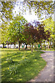 Looking towards the Prince George Avenue entrance to Oakwood Park, London N14