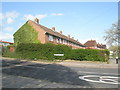 Ivy clad house backing onto Credenhill Road