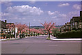 Kenwood Avenue, London N14 taken 1964