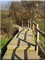 Boardwalk in Nature reserve