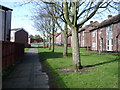 Footpath at the rear of Browsholme Avenue, Burnley