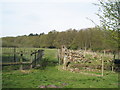 Sheep pens old and new behind Severals Road