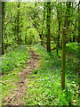 Wey-Arun Path, Loves Furze