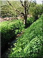 Small stream or drainage ditch near Whitehall Farm