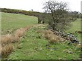 Embankment on the 1785 Caldon Low Railway