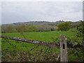 Meadow at Woodyers