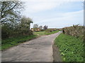 Approaching Dumpford from Elsted Marsh