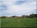 Looking across field from Terwick Mill to Rother Lane