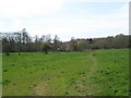 Looking back from Rother Lane to Terwick Mill