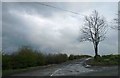 Long lane before the rain