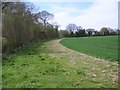 Field headland near Wildhern