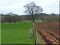 Farmland, Hayton