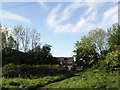 View from path at Paulsgrove Chalkpits looking towards Lime Grove