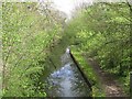 North from Llwynderw Bridge