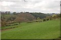 Fields viewed from steep hill