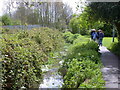 Cherry Hinton Brook