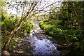 Stream, wooded area, Lonsdale Drive, Enfield