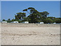 Beach & caravan park - Mudeford