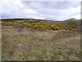 Corleaghan Townland