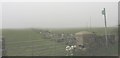 Path across a mist-shrouded field linking Penrhynhalen and Trefri