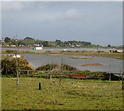 SW5436 : Traffic on The Causeway, Hayle Estuary by Pauline E