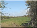 View across a field to Tyddyn Engan and Ty Croes