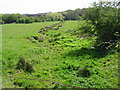 View along dried up stream bed