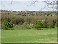 View from Old Wye Lane