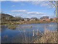 General view of Granllyn Pool