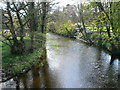 River Elwy at Pont-y-Gwyddel