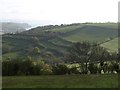 Fields above Ringmore